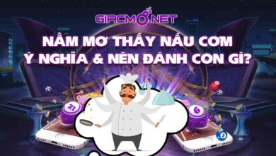 Nằm mơ thấy nấu ăn đánh con gì?