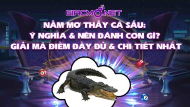 Nằm mơ thấy cá sấu đánh con gì?