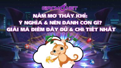 Nằm mơ thấy khỉ đột đánh con gì?