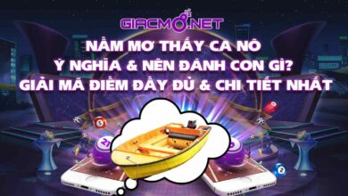 Nằm mơ thấy ca nô đánh số gì?