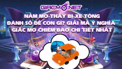 Nằm mơ thấy bị xe tông đánh số gì?