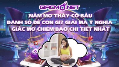 Nằm mơ thấy có bầu đánh con gì?