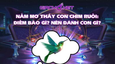 Nằm mơ thấy chim ruồi đánh con gì?