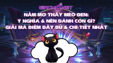 Nằm mơ thấy mèo đen đánh con gì?