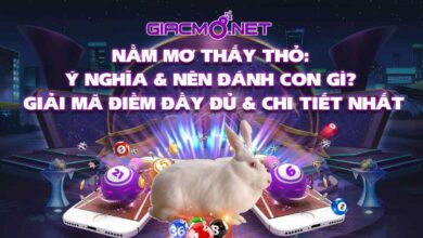 Nằm mơ thấy con thỏ đánh con gì?