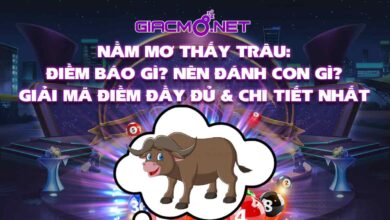 Nằm mơ thấy con trâu đánh con gì?