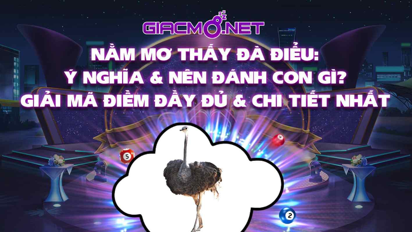 Nằm mơ thấy đà điểu đánh con gì?