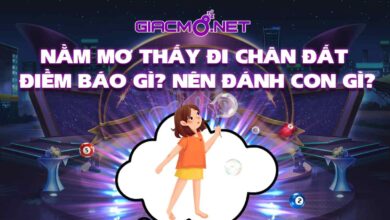 Nằm mơ thấy chân đất đánh con gì?