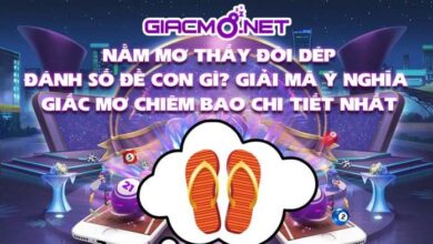 Nằm mơ thấy đôi dép đánh đề con gì?