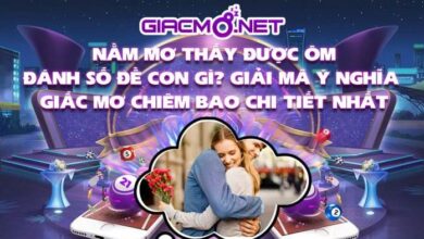 Nằm mơ thấy được ôm đánh đề con gì?