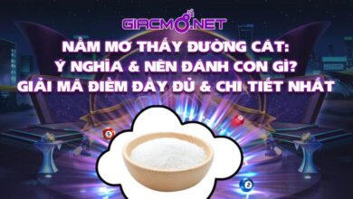 Nằm mơ thấy đường cát đánh con gì?