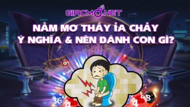 Nằm mơ thấy ỉa chảy đánh con gì?