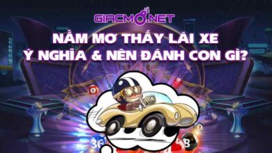 Nằm mơ thấy lái xe đánh con gì?