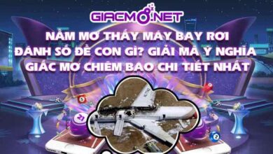 Nằm mơ thấy máy bay rơi đánh con gì?