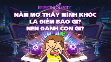 Nằm mơ thấy mình khóc đánh con gì?