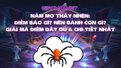 Mơ thấy nhện đánh con gì?