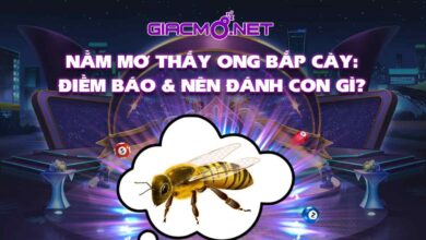 Nằm mơ thấy ông bắp cày đánh con gì?