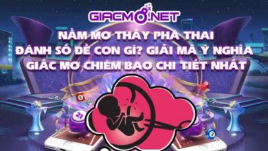 Nằm mơ thấy phá thai đánh đề con gì?