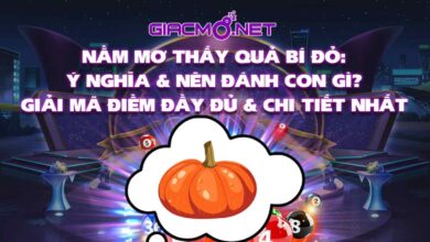 Nằm mơ thấy quả bí đỏ đánh con gì?