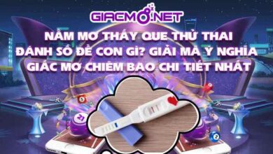 Nằm mơ thấy que thử thai đánh con gì?