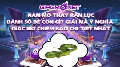 Nằm mơ thấy rắn lúc đánh con gì?