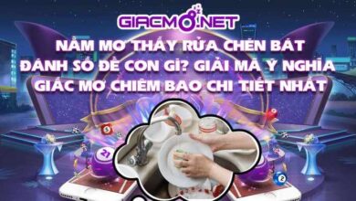 Nằm mơ thấy rửa chén đánh con gì?