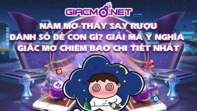 Nằm mơ thấy say rượu đánh con gì?