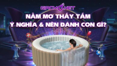 Nằm mơ thấy tắm đánh đề con gì?