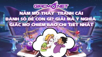 Nằm mơ thấy tranh cãi đánh con gì?