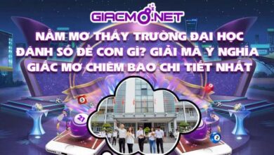 Nằm mơ thấy Trường Đại Học đánh số đề con gì? Giải mã ý nghĩa giấc mơ chiêm bao chi tiết nhất