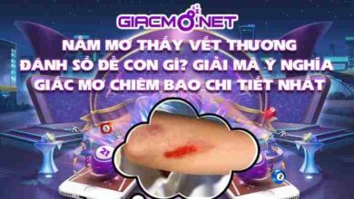 Nằm mơ thấy vết thương đánh con gì?