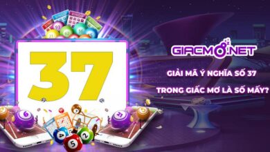 Giải mã ý nghĩa mơ thấy số 37 & Tìm kiếm con số vàng